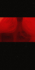 Lykasnebes666