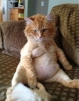 жирныйкоТе
