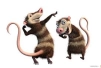 Opossum